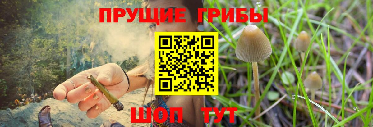 Галлюциногенные грибы мицелий  Вход с VPN  Каспийск 